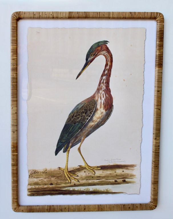 Long Neck Bird Picture Cane Frame
